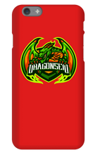 DragonSeid iPhone Phone Cases