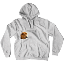 heresthelion official  Hoodie