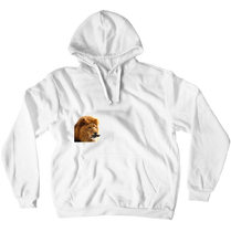 heresthelion official  Hoodie