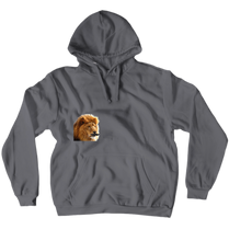 heresthelion official  Hoodie