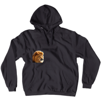 heresthelion official  Hoodie