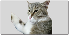 antontv_2k XXL Gaming Mousepad