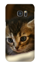 pamplemousse2stv Samsung Phone Cases