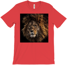 JusticeGamePlays T-Shirts
