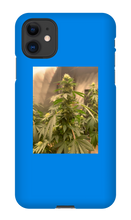 Hard On iPhone Case