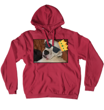 enemypuppy Hoodies (No-Zip/Pullover)