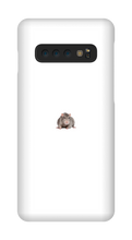 Un vieux case sale