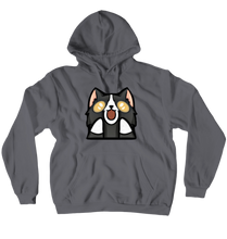 Hoodies (No-Zip/Pullover)