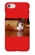 Funny Taco Cat Iphone Case
