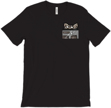 Patrick The Mod Cat