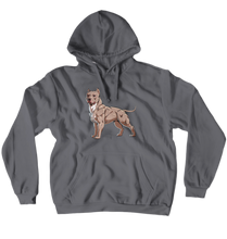 Hoodies (No-Zip/Pullover)