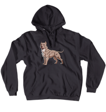 Hoodies (No-Zip/Pullover)