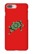 Clover Koala iPhone Phone Cases