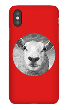 GraySheep  iPhone Cases