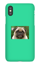 highestworm45429 iPhone Phone Cases
