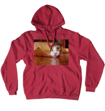 Funny Taco Cat sweat shirt