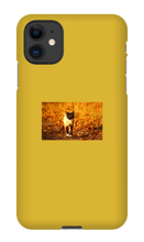 Aidan Rockel-Bigus iPhone Phone Cases