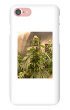 Hard On iPhone Case