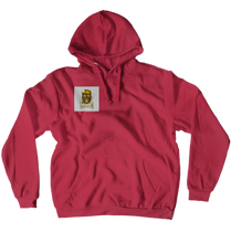 drgriizlee Hoodies (No-Zip/Pullover)