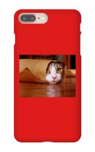 Funny Taco Cat Iphone Case