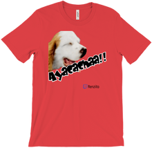 Ayacacha T-Shirts