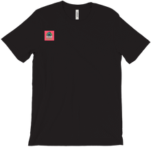 pgrproleplay T-Shirts