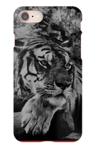 swyzz_jolino iPhone Phone Cases