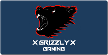 xgrizzlyxgaming XXL Gaming Mousepad