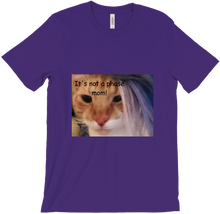 catgirl1224's "It's not a Phase Mom!"