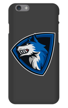 Vivid's iPhone Phone Cases