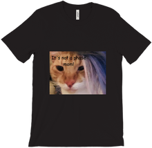 catgirl1224's "It's not a Phase Mom!"