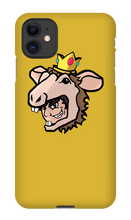 bcchi iPhone Phone Cases