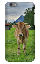 Iphone Phone Case Bavaria Cow