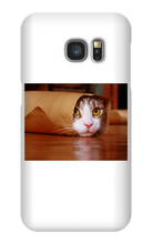 Funny Taco Cat Samsung Phone Case