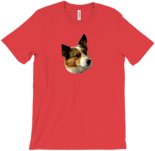 Disapproving T-Shirts