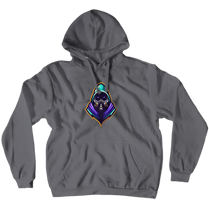 Team BTW Logo Hoodies