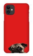 pugzzz iPhone Phone Cases