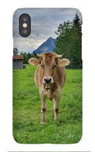 Iphone Phone Case Bavaria Cow