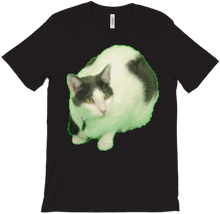 Scuffed Kitty