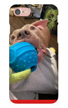 doggoasmr iPhone Phone Cases