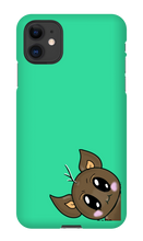 PO Cases