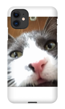gullkatten iPhone Phone Cases