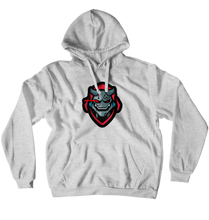 Team Exotic Hoodies (No-Zip/Pullover)