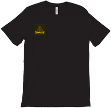 tvdandutt200 T-Shirts