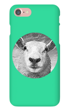 GraySheep  iPhone Cases
