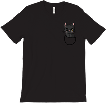 Salem in your Pocket - T-shirt