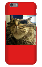 coletheeditor iPhone Phone Cases