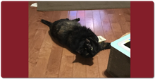 Little Bit extra large mousepad