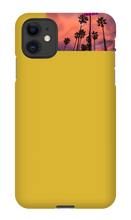 palm seas limited case
