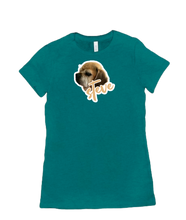 amorosoviolin Women’s T-shirt